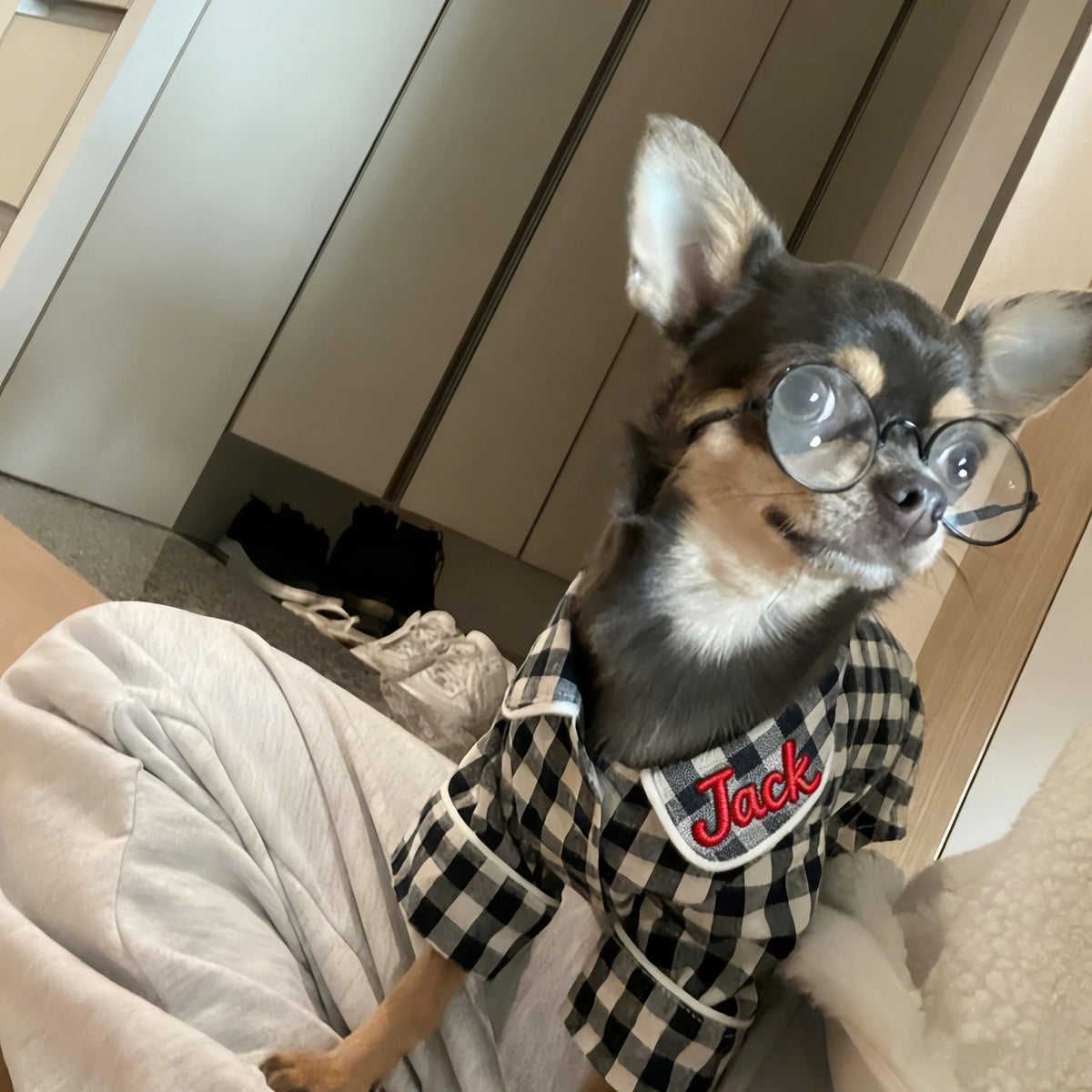 Personalized Embroidered Name Cotton-Linen Plaid Dog Pajamas | inCloth70