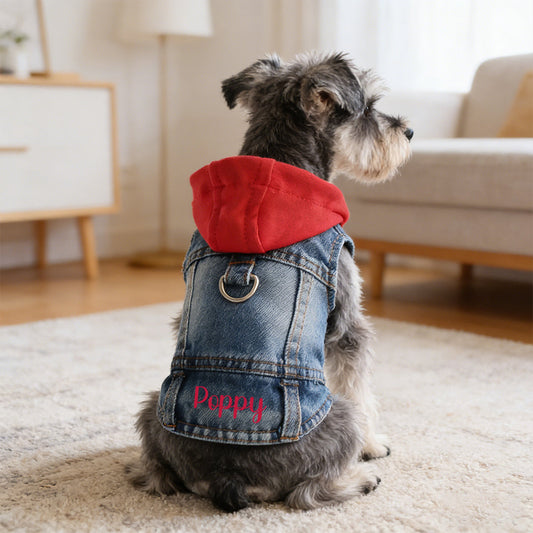 Personalized Name Denim Pet Hoodie Jacket | inCloth60