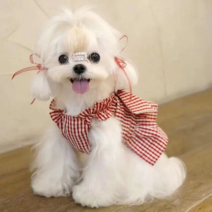 Personalized Pet Valentine's Day Dress | inCloth02